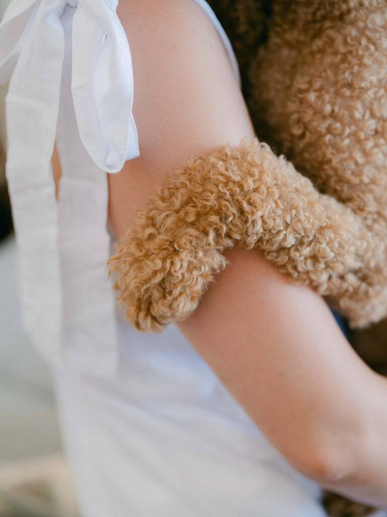 Close-up of the curly-haired wedding dog resting comfortably in a bridesmaid’s arms.