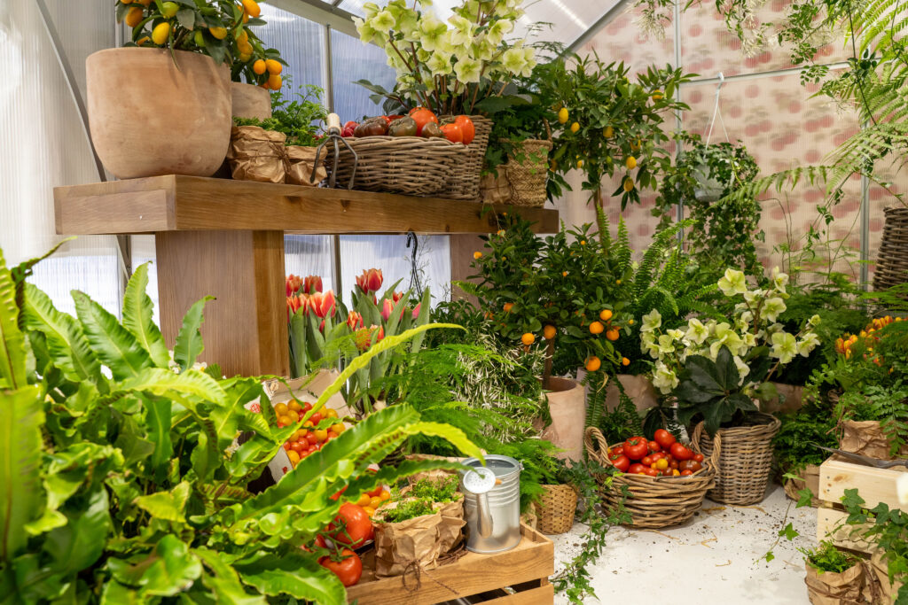 Immersive greenhouse filled with ferns, hellebores, tulips, citrus trees and tomatoes for Harry Styles' Paris event.
