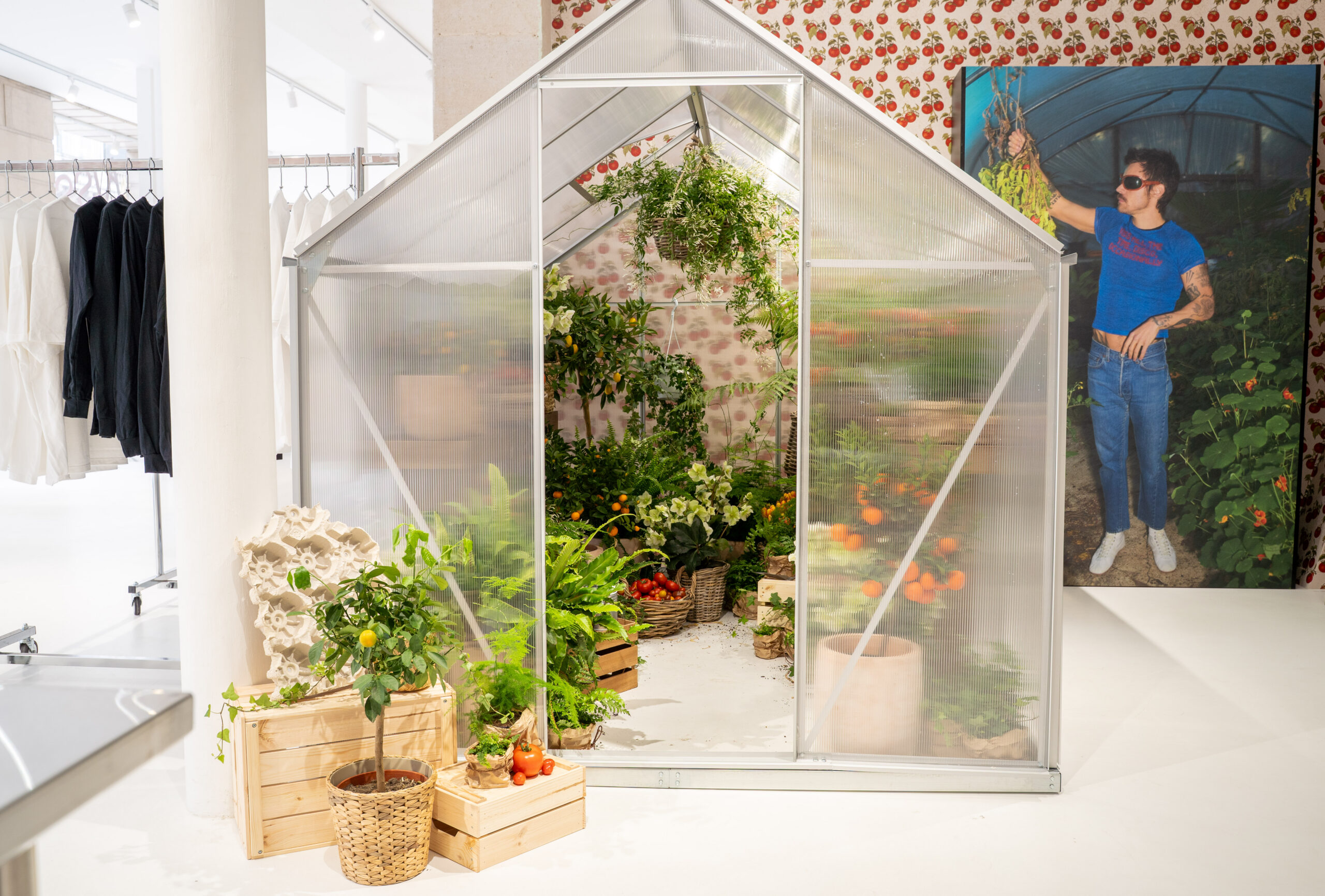 Greenhouse installation and oversized Harry Styles garden portraits inside the Paris album pop-up.